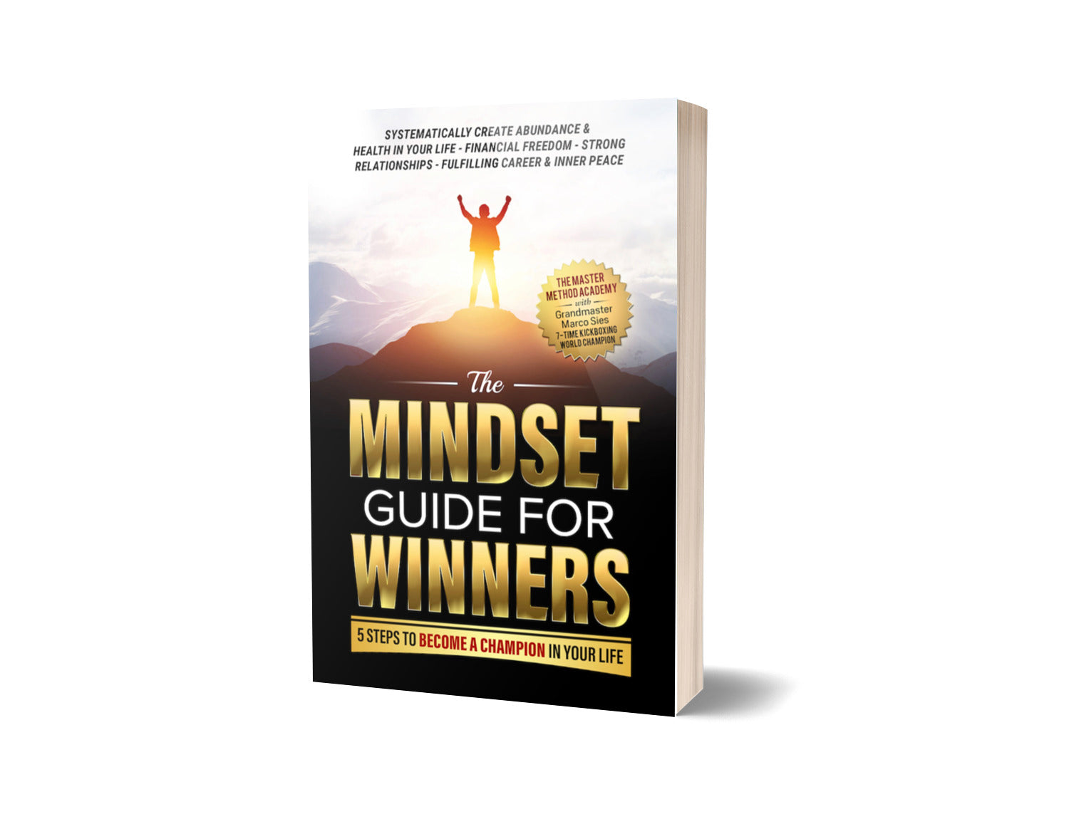 The Mindset Guide for Winners: 5 Steps to Become a Champion in Your Life ~ Paperback